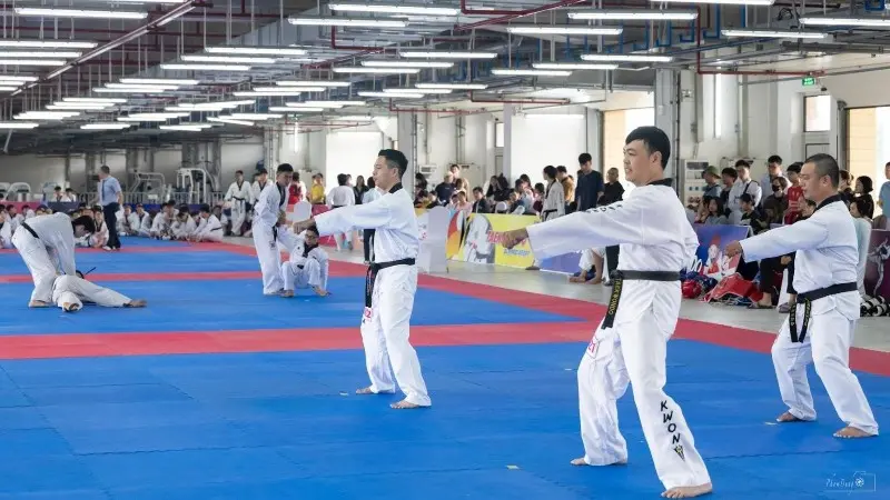 中国武术的历史渊源与精神内涵